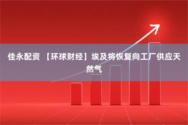 佳永配资 【环球财经】埃及将恢复向工厂供应天然气