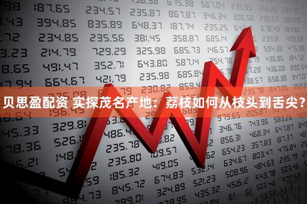 贝思盈配资 实探茂名产地：荔枝如何从枝头到舌尖？