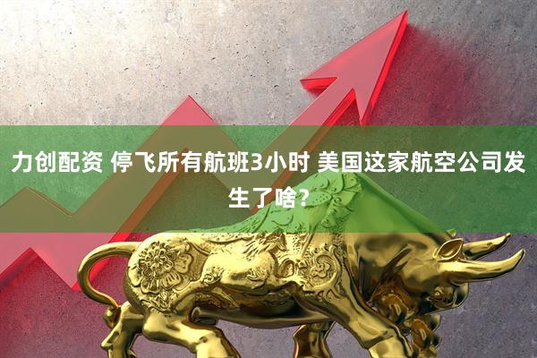 力创配资 停飞所有航班3小时 美国这家航空公司发生了啥？