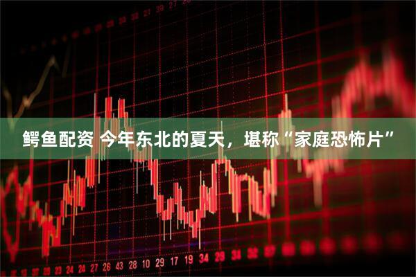 鳄鱼配资 今年东北的夏天，堪称“家庭恐怖片”