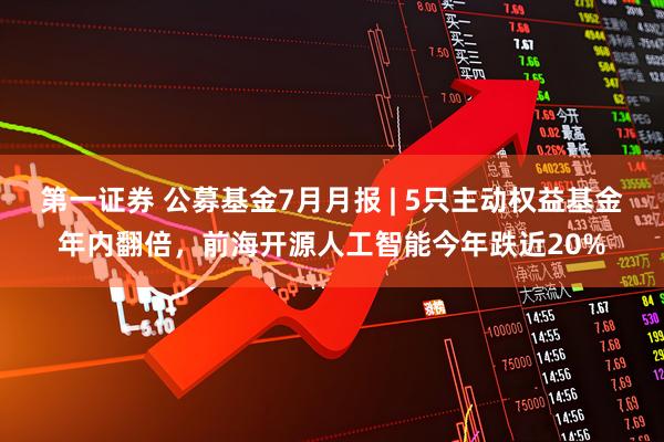 第一证券 公募基金7月月报 | 5只主动权益基金年内翻倍，前海开源人工智能今年跌近20%